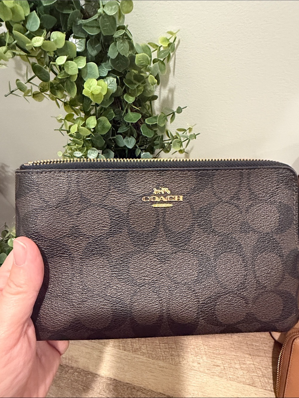 Coach Dark Brown Signature Zip Pouch with Gold Logo